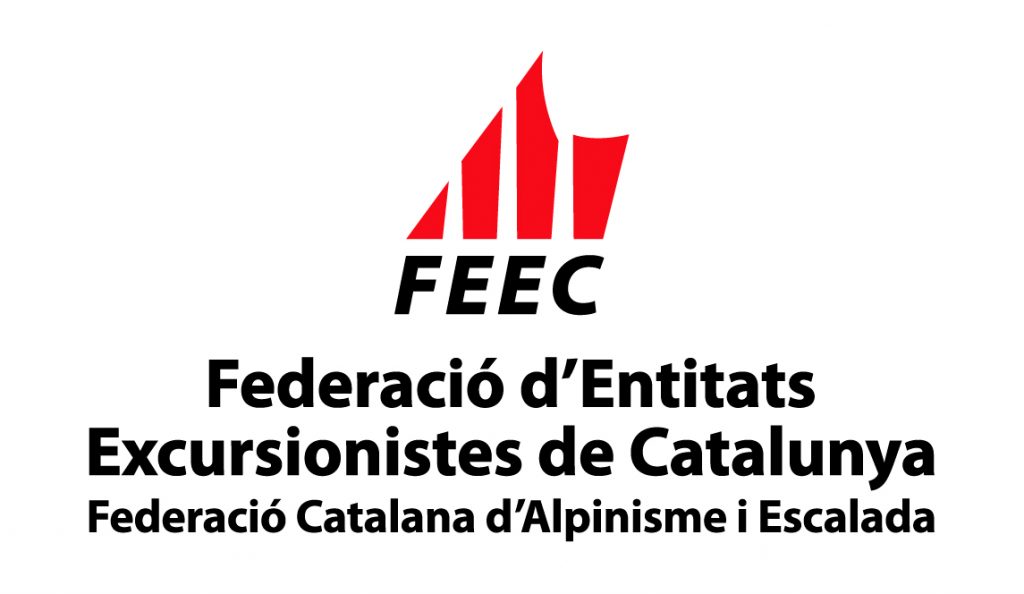 Logo FEEC